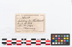 Etikett zu Bronzebuckelarmreif (NHMW-PRAE-026450)